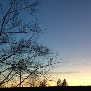 Meet your Posher, Janelle